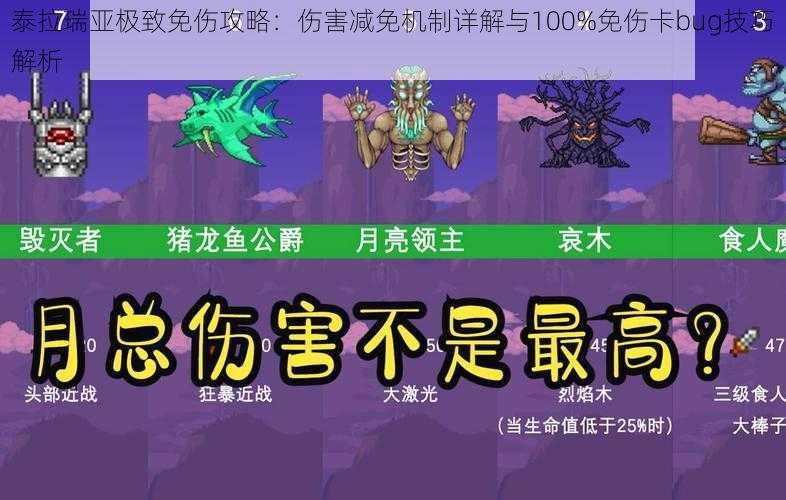 泰拉瑞亚极致免伤攻略：伤害减免机制详解与100%免伤卡bug技巧解析